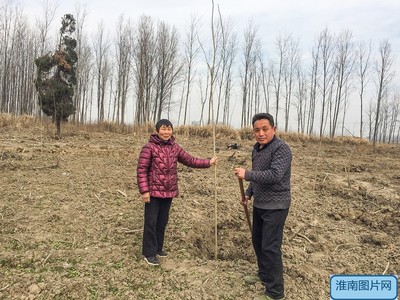 寿县双庙集镇周岗现湾村民组崔世松林业开发合作社成立，推动林业产品销售