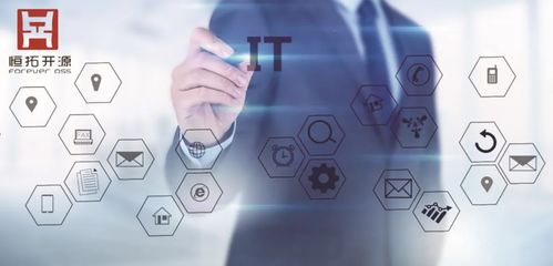 恒拓开源 卓越的软件开发与信息技术服务引领者