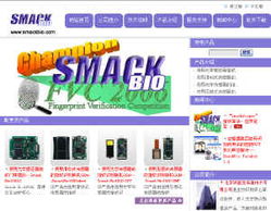 斯麦克信息技术 引领信息技术服务新篇章